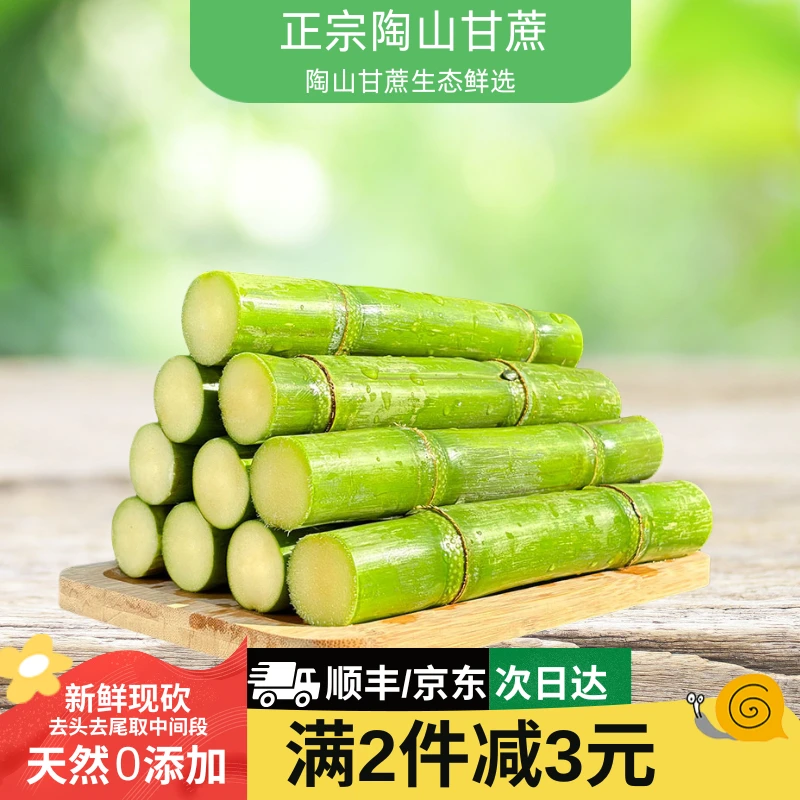 【正宗陶山甘蔗】精品无裂3-5斤 当季新鲜青皮甘蔗水果手撕皮 果肉松脆香甜