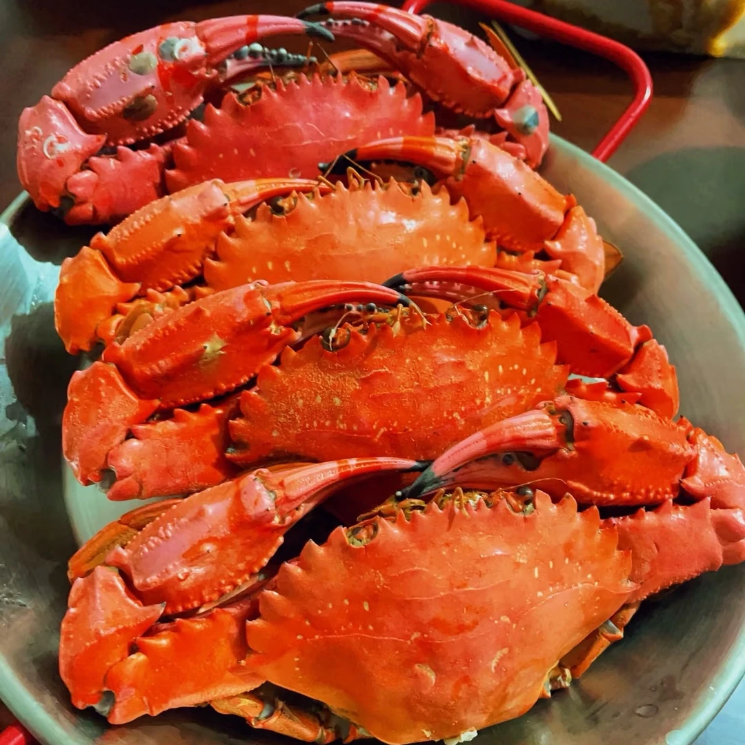 大连本地赤甲红（断氧）辽宁省内可以拍