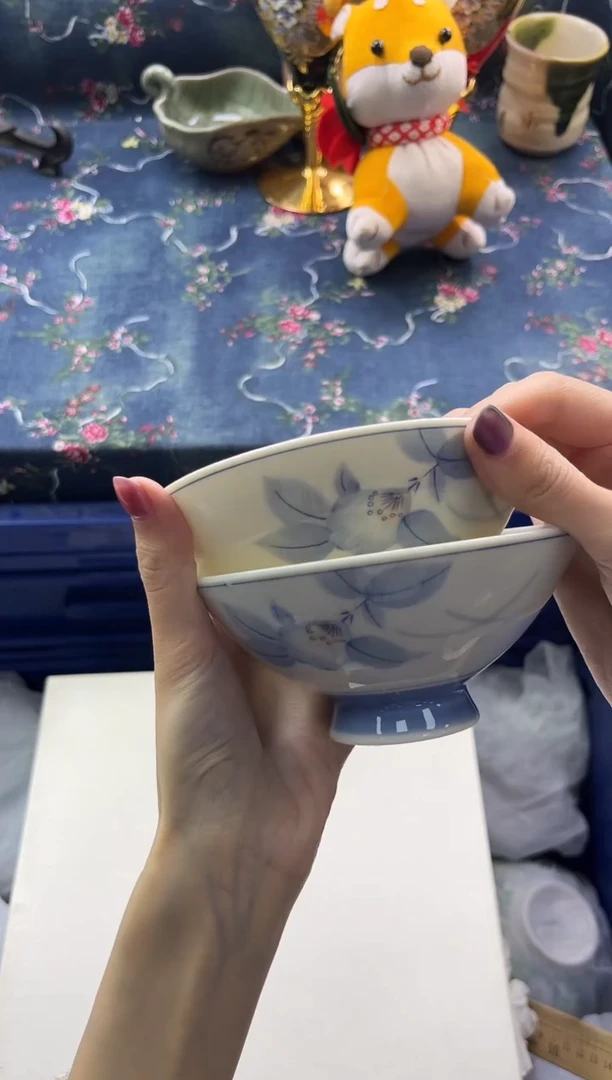 瓷片          F561