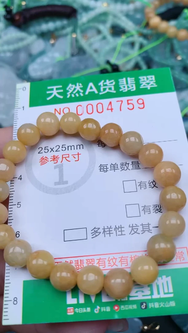 【闪购商品】翡翠颈饰未镶嵌.0004759