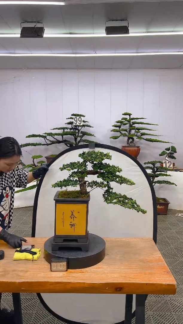 一物一拍一物一拍