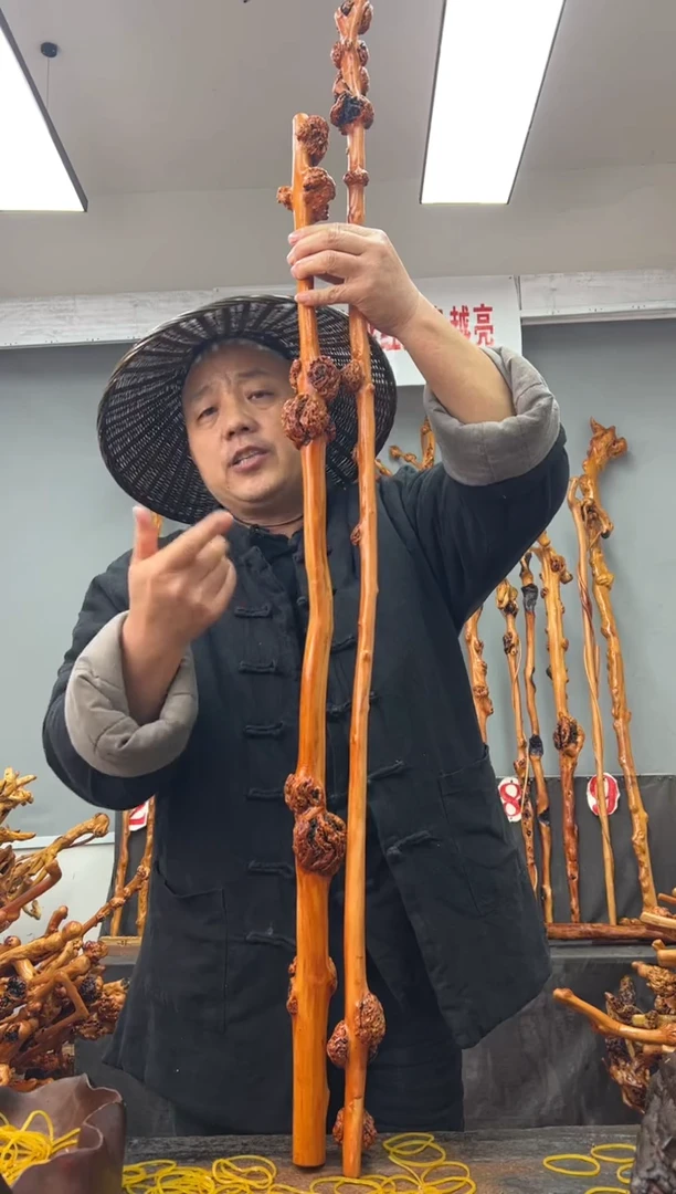 【闪购商品】黑果木其他黑果木909