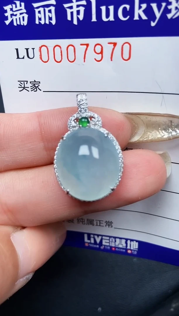 【闪购商品】翡翠颈饰银S925镶嵌7970