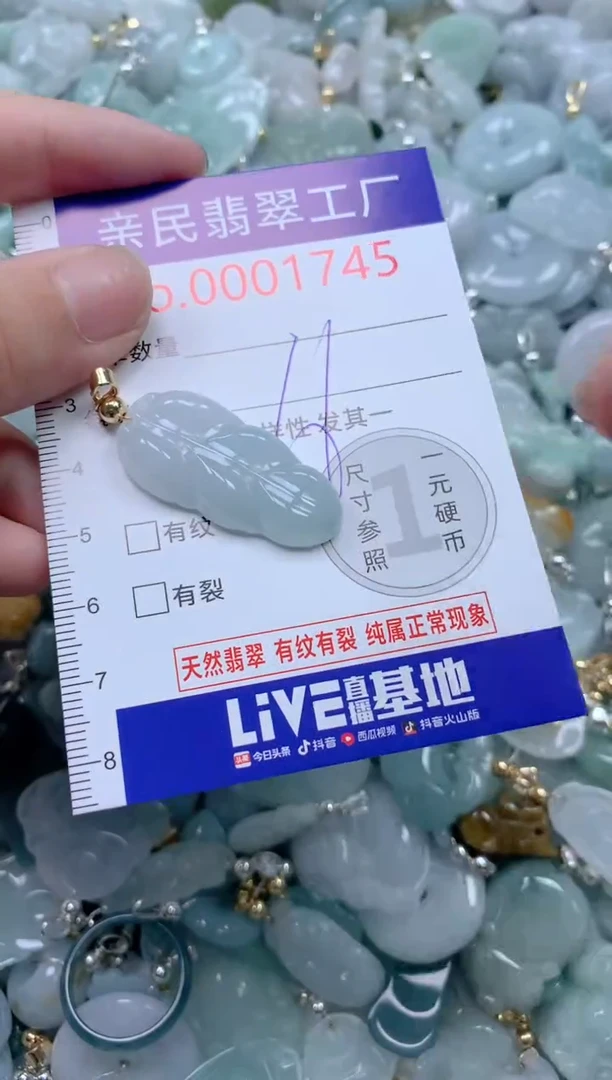 颈饰未镶嵌翡翠1745
