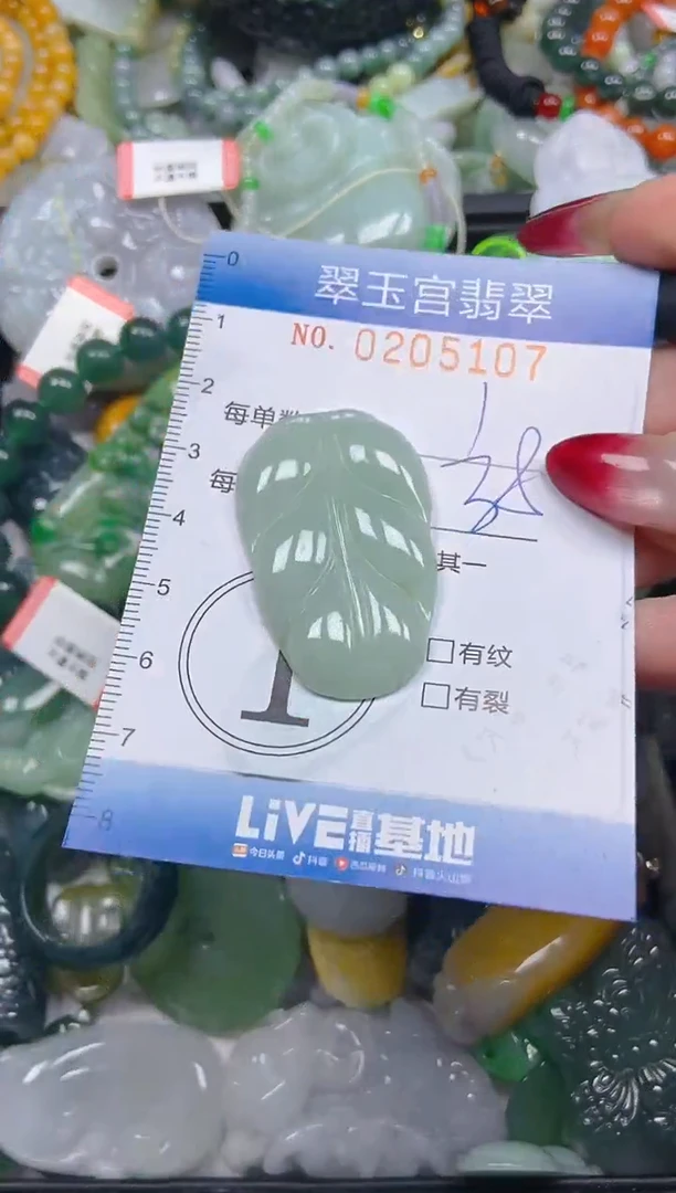 颈饰未镶嵌翡翠闪购C0205107