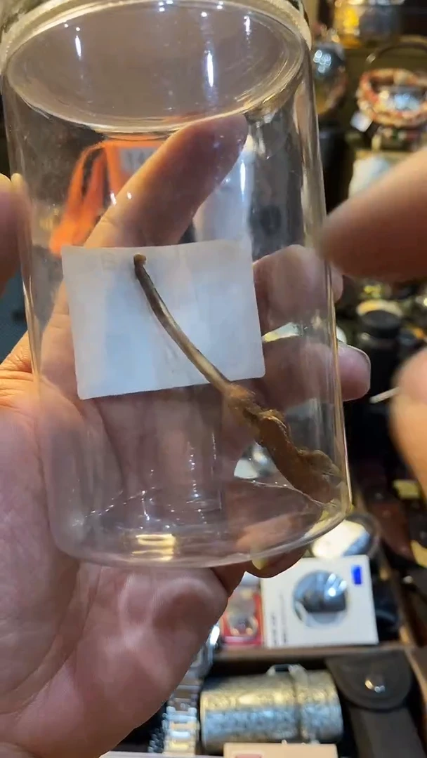 瓷片闪购商品 如图所示