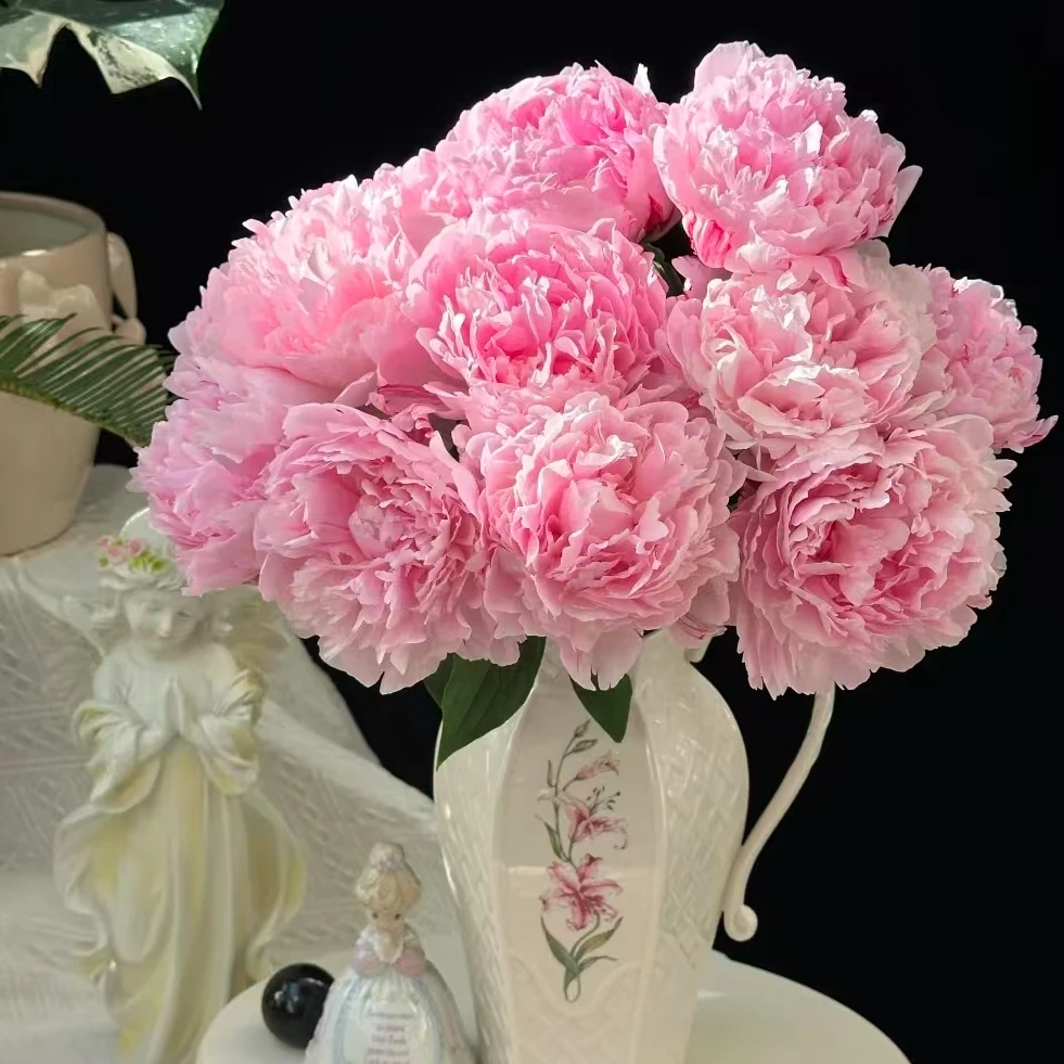 【一品花集】粉沙拉--芍药