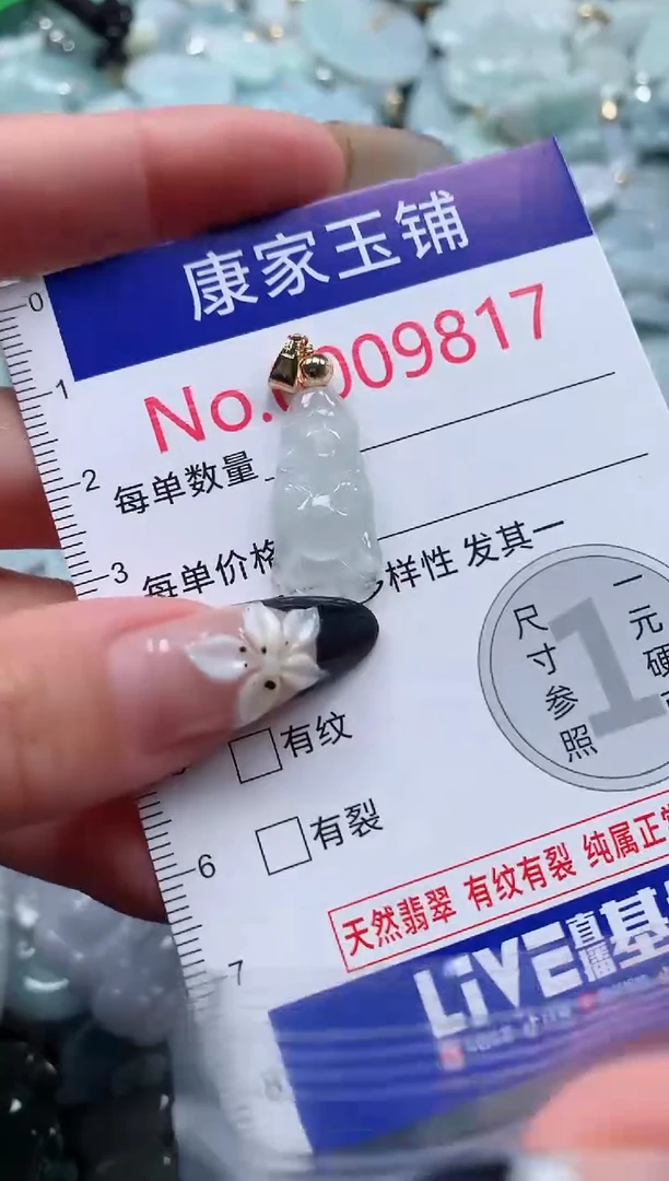 颈饰未镶嵌翡翠9817