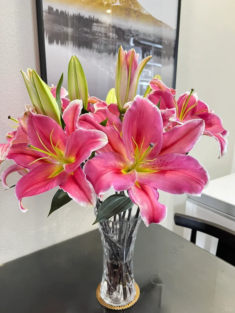 【鸿运当头百合】红色香水百合 全场任意满两单鲜花包邮（坤）