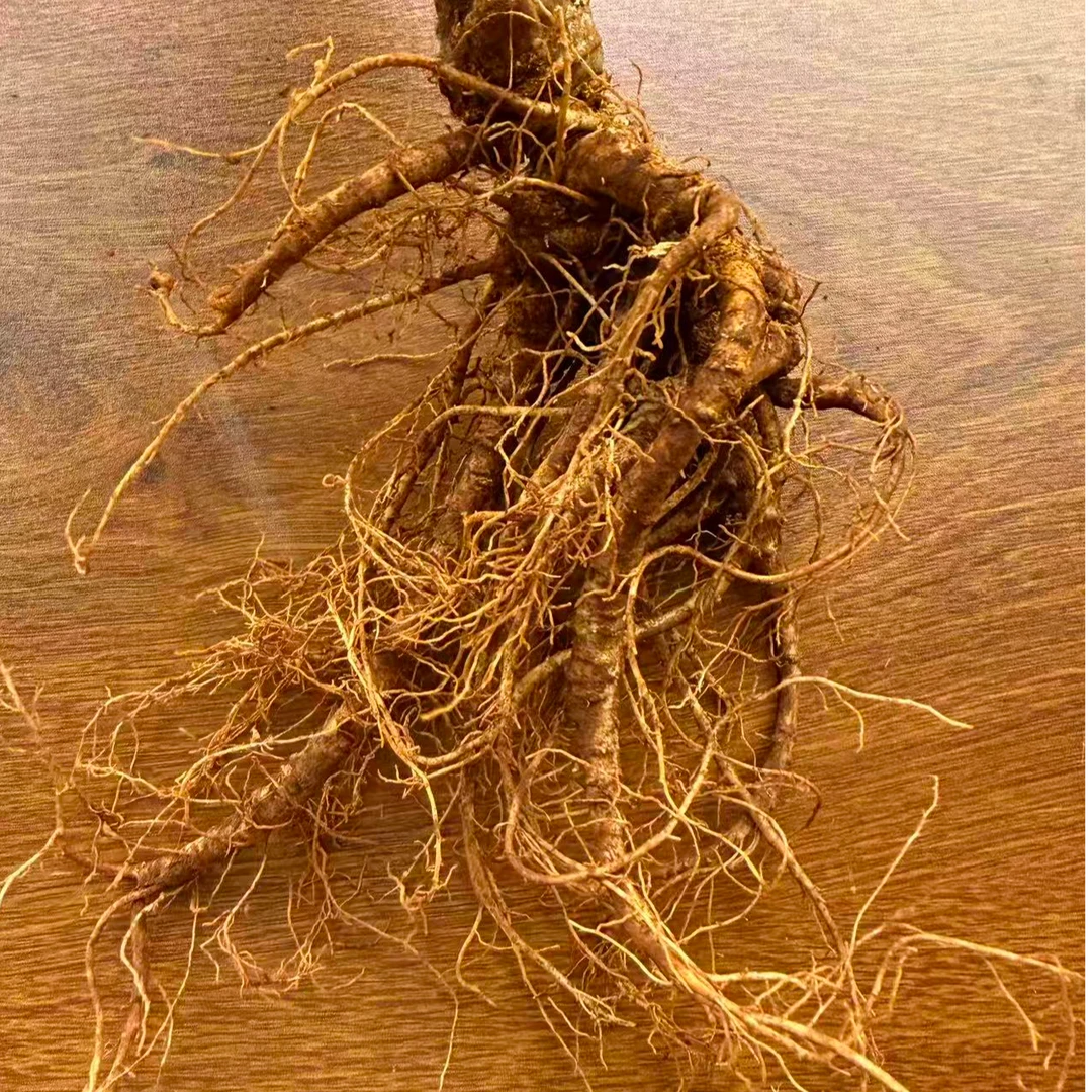 福利款【24味直播间现拍】苗家初级原材料