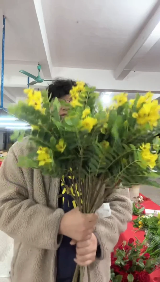 【闪购商品】 仿真绿植槐花2束