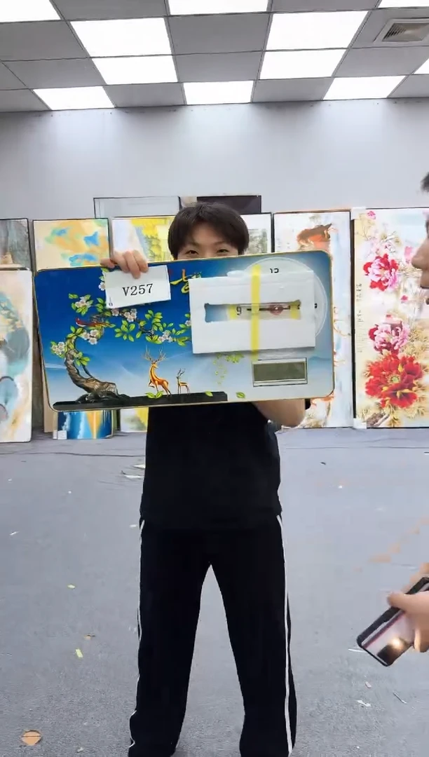 孤品微瑕黑马闪购V257