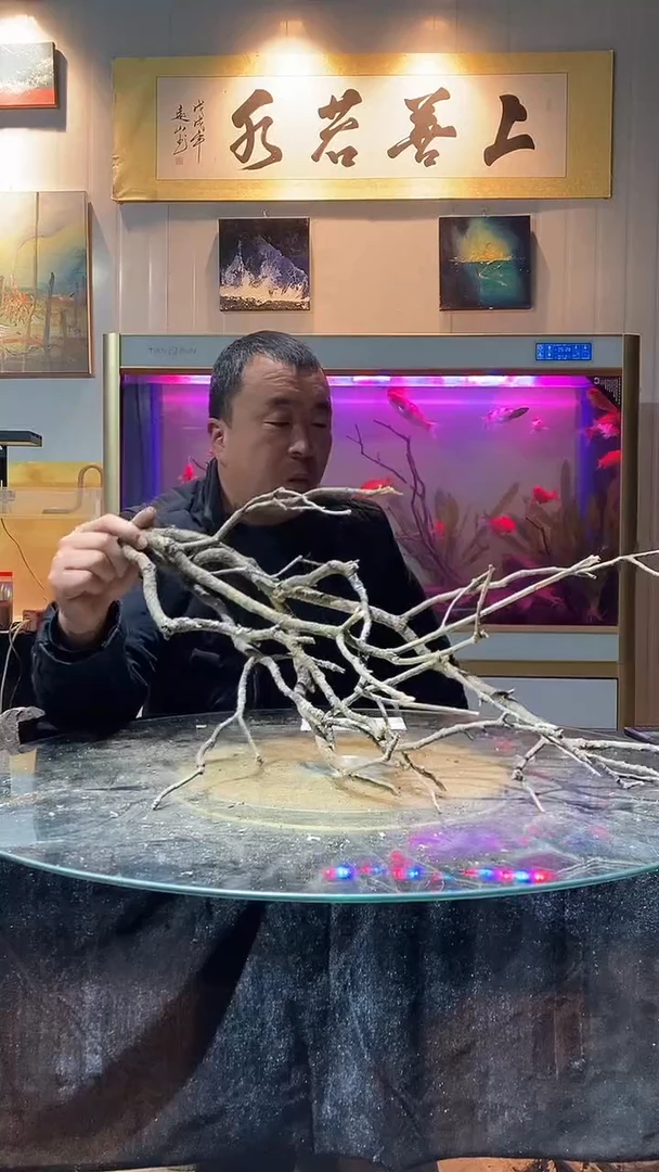 181号天然黄梨木长68适合60-70缸
