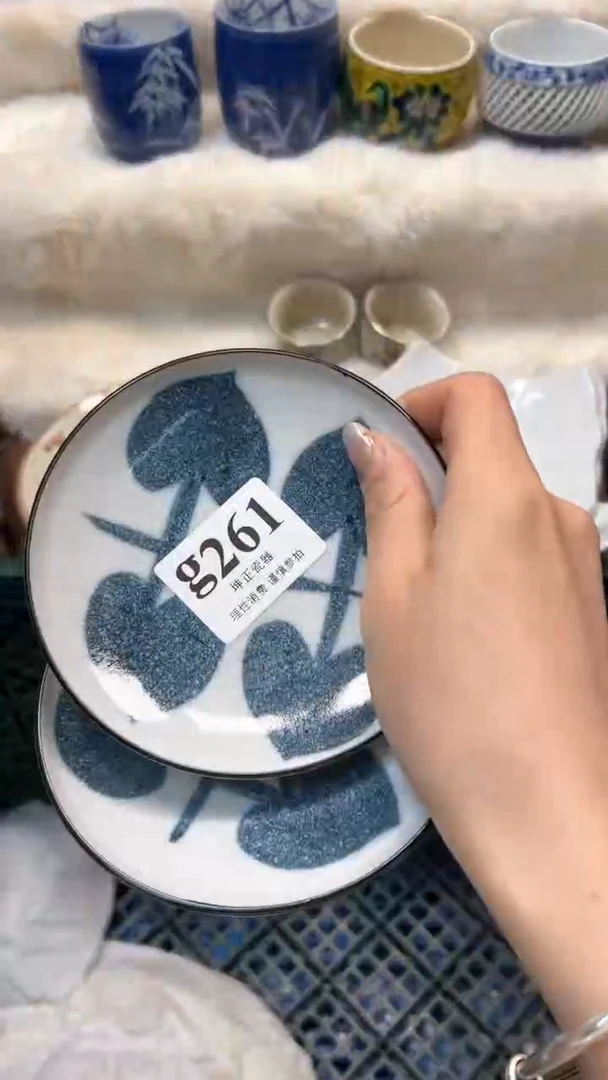 【闪购商品】瓷片          g261