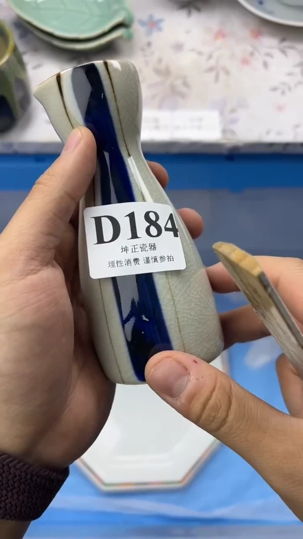 瓷片          D184