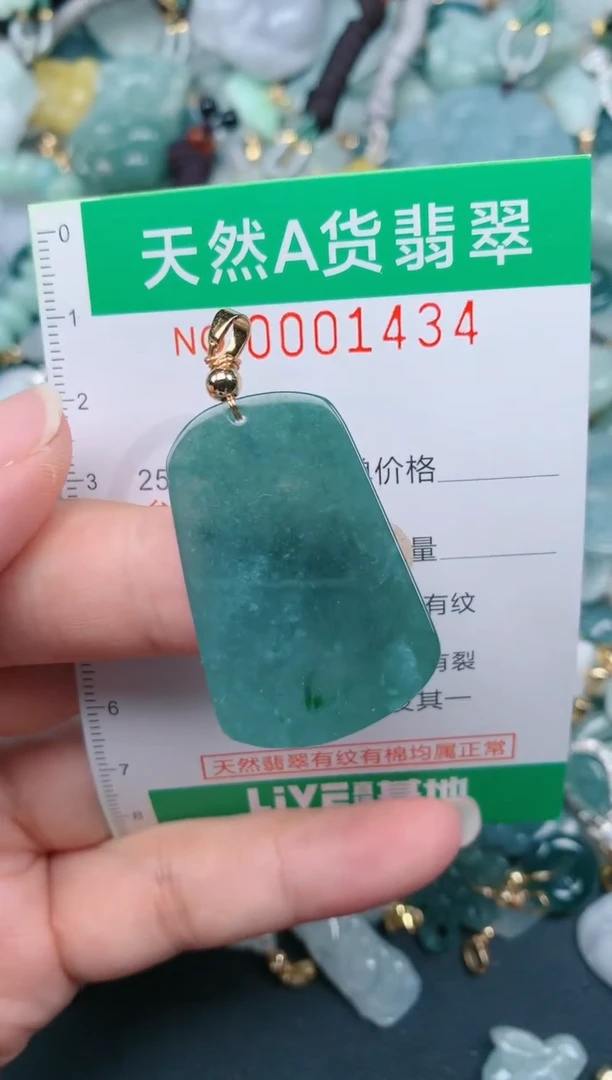 颈饰未镶嵌翡翠.0001434