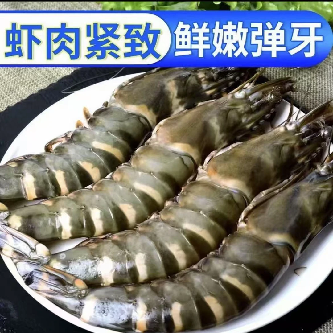 海捕大黑虎虾 26-30规格 15厘米左右  40-50只左右 活虾速冻1500g