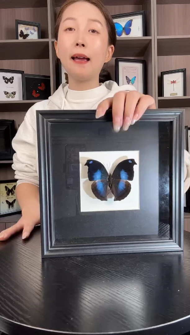 实木竖款爱情鸟蛱蝶（蝴蝶装饰画8寸框）