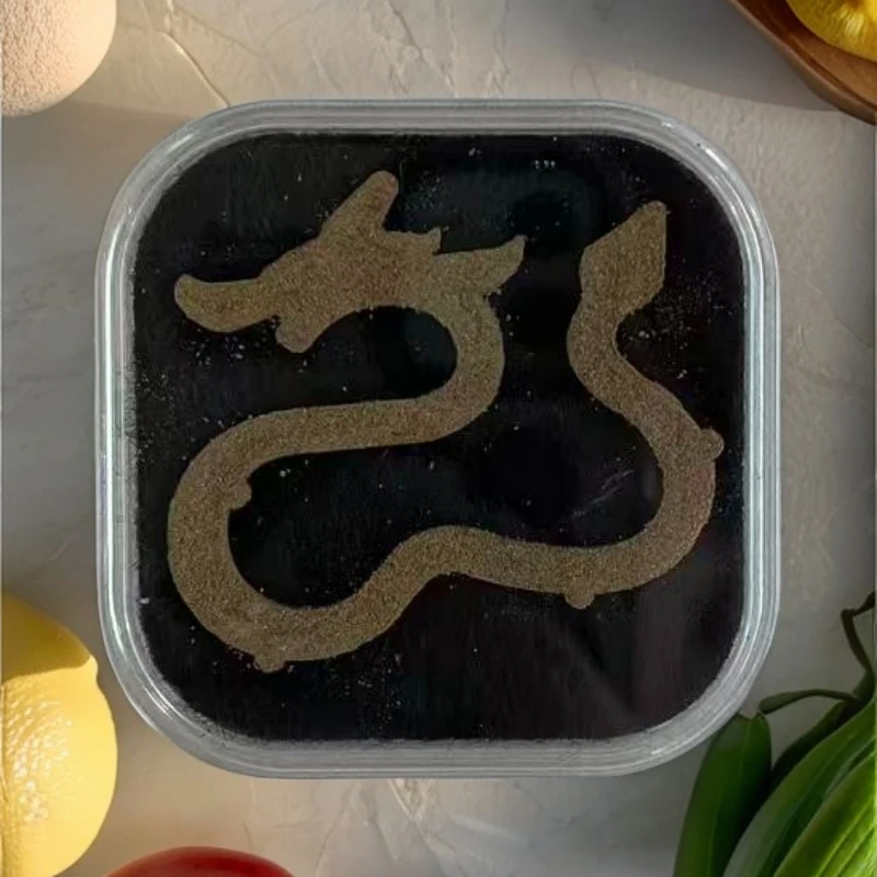 沉香（林氏出品）老顶虫漏沉香龙云香