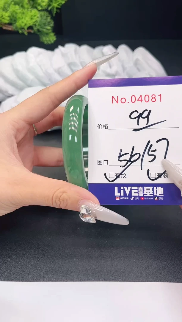 未镶嵌手镯翡翠4081