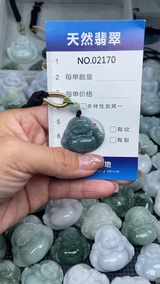 颈饰未镶嵌翡翠纯天然A货翡翠2170
