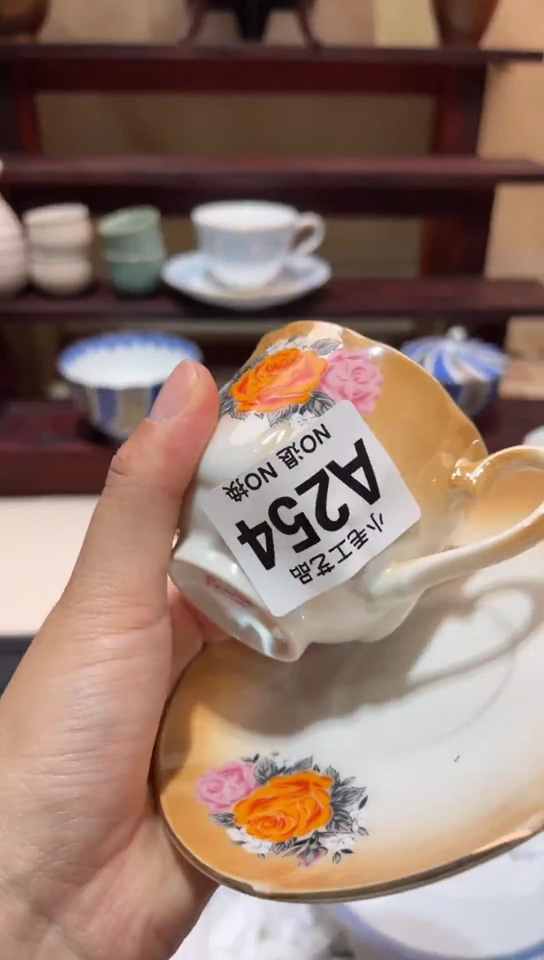 瓷片对*      A254