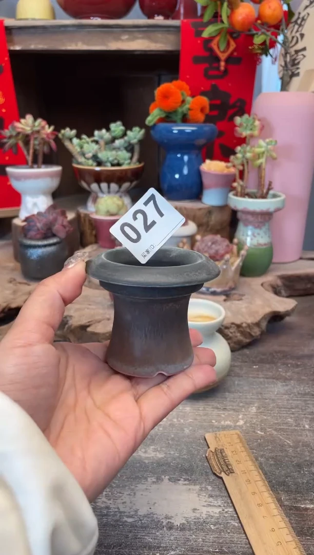 【闪购商品】摆件027知木小芳花盆