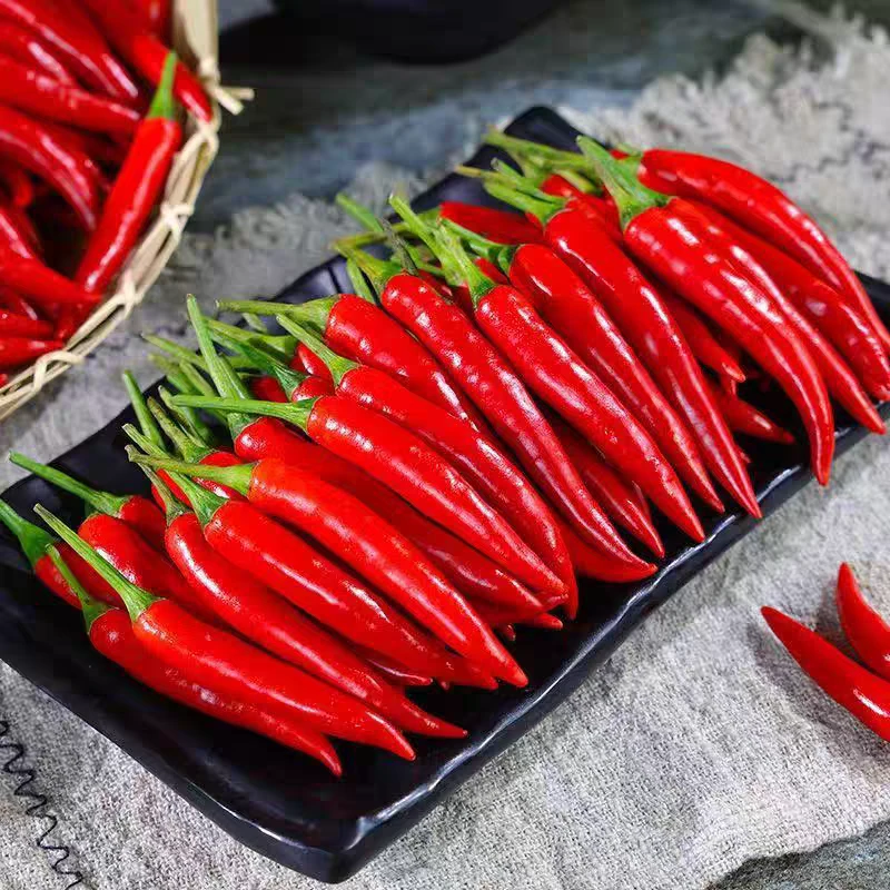 红小米椒  50g/份