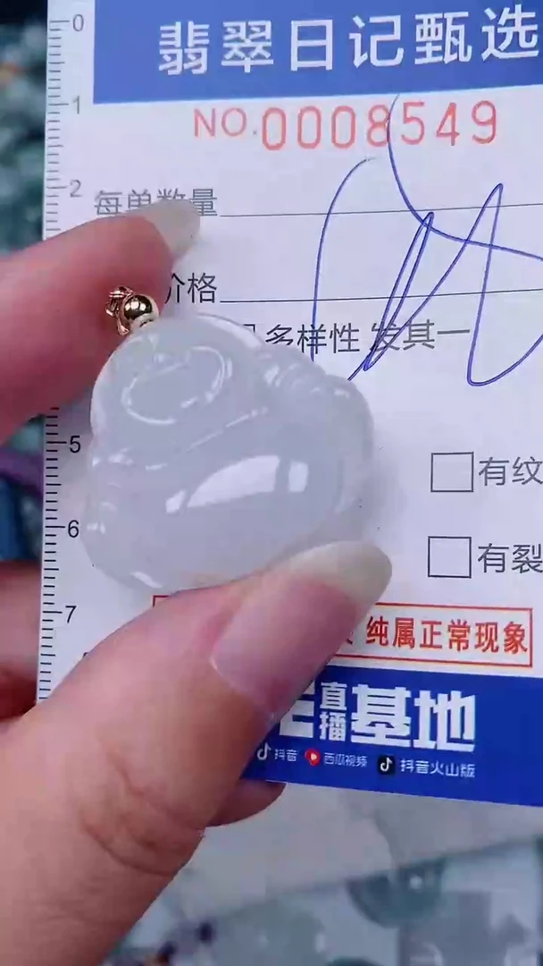 翡翠未镶嵌颈饰00008549