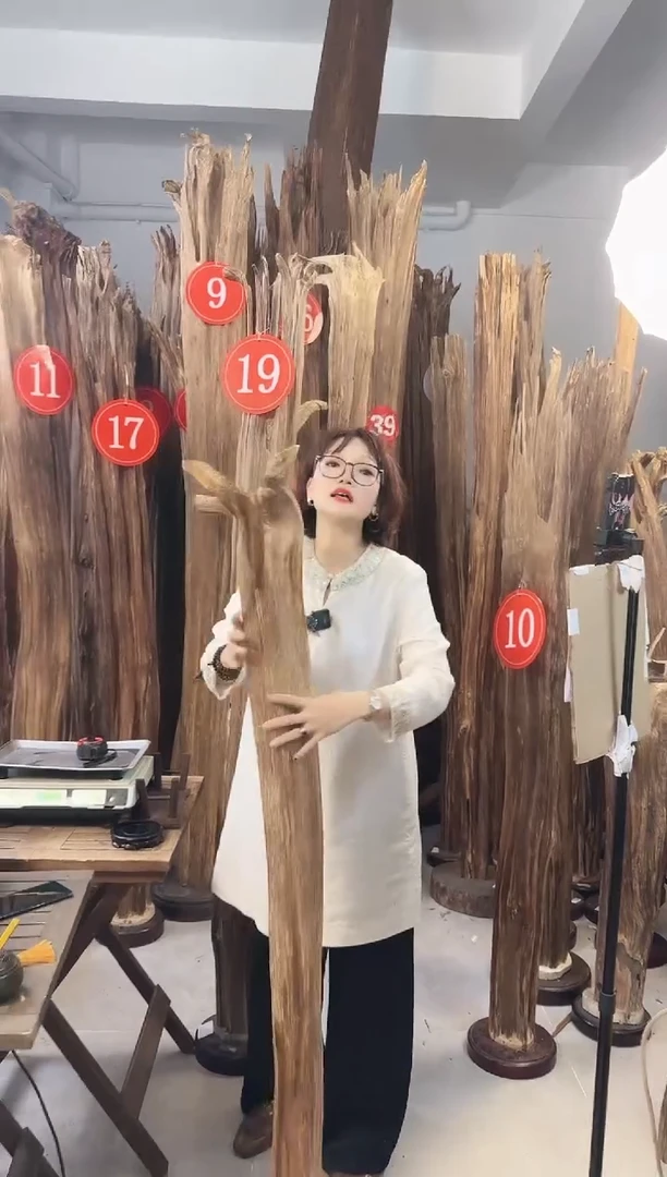 沉香碎屑沉香沉香多样性发一件80