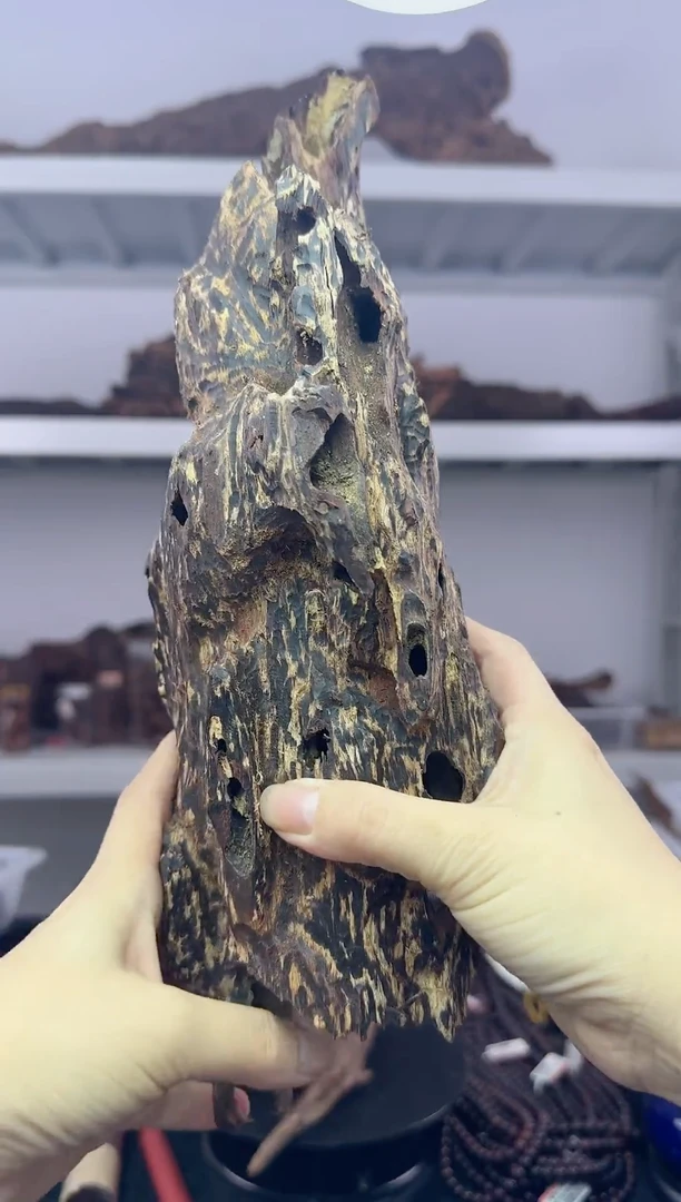 降真香海南红降花梨公随型天然虫漏原料610g