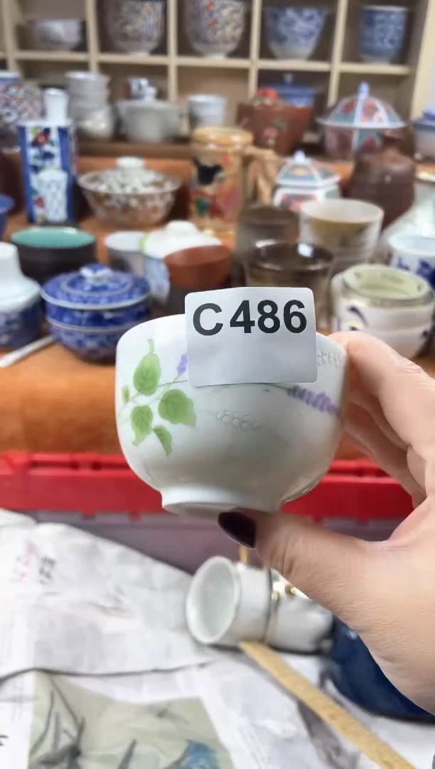 【闪购商品】C486