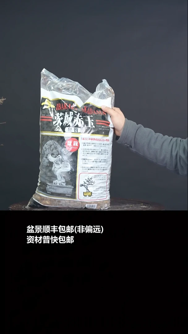 无花朵二本线赤玉土大粒9-12mm