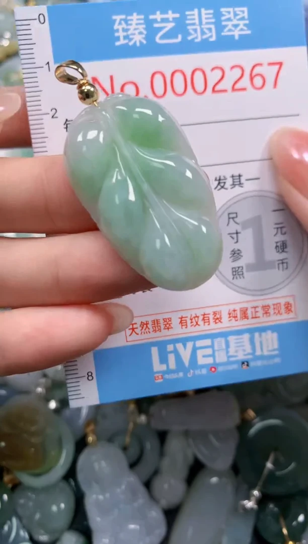 颈饰未镶嵌翡翠2267