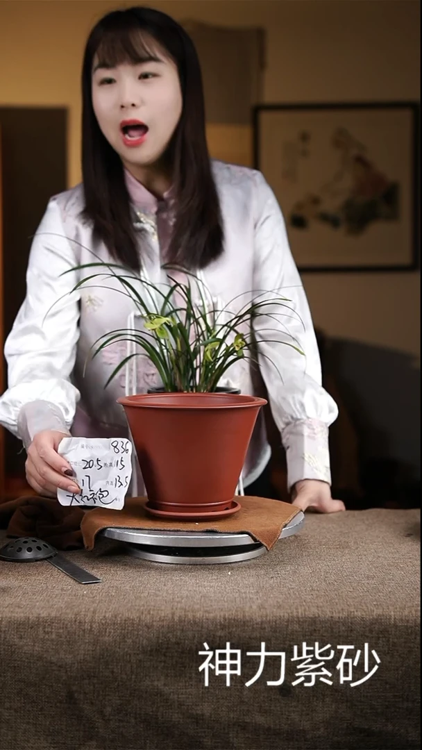 【闪购商品】紫砂花盆紫砂花盆836+z