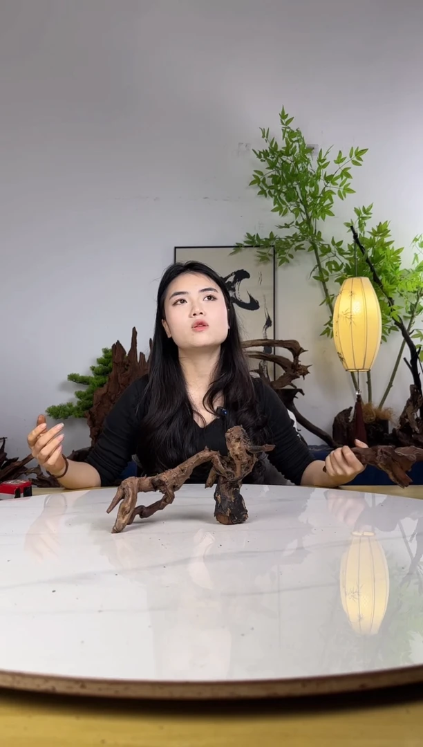 ꧁**꧂拍沉木定向链接编号40