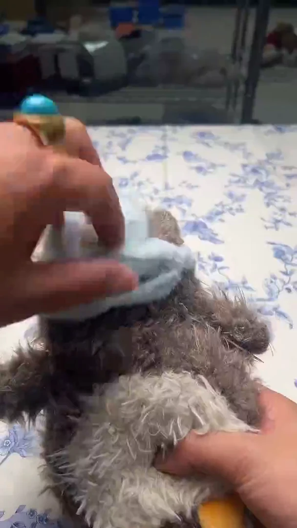 瓷片如图所示如图所示