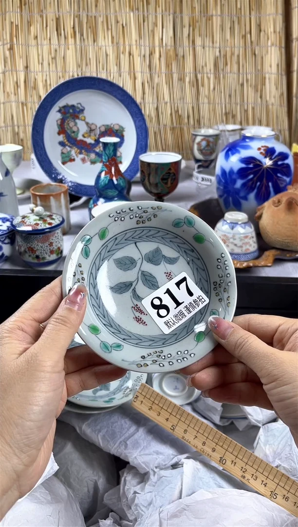 【闪购商品】碟              817