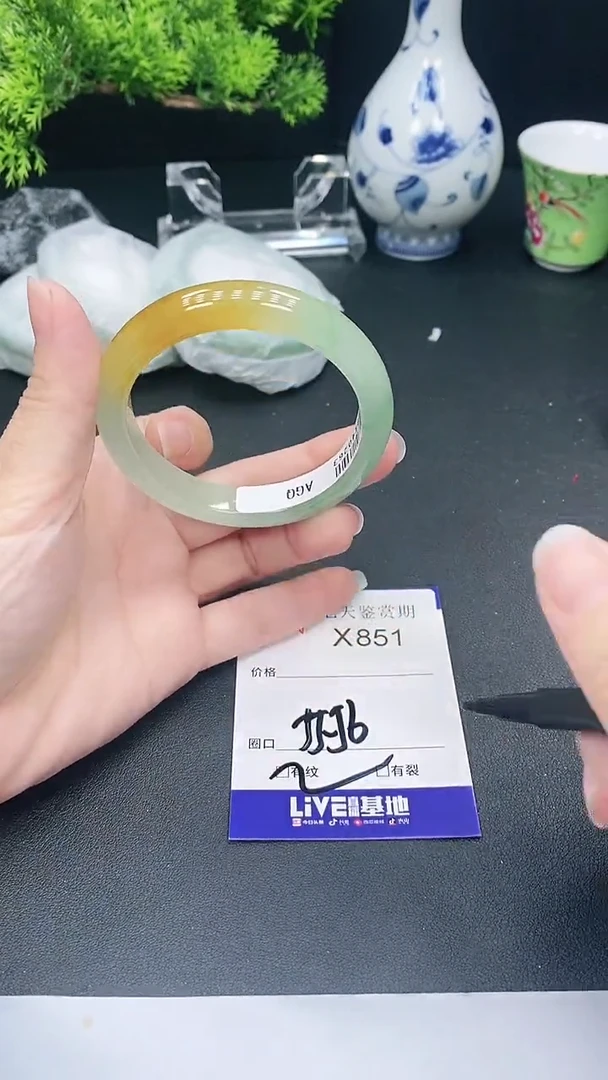 未镶嵌手镯翡翠851