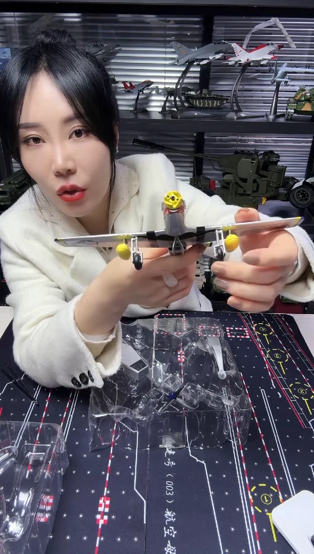 1/48合金飞机模型P51飞虎队