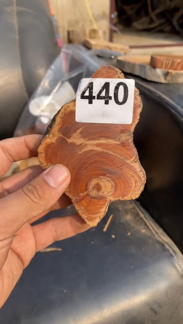 柏木（崖柏）太行陈化崖柏切片!随机（1单1片）440