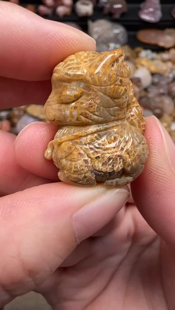 硅化珊瑚（珊瑚玉）未镶嵌颈饰066