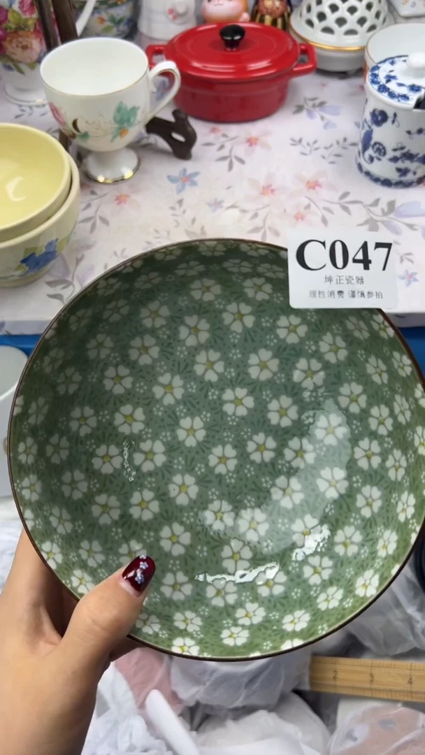 瓷片               C047