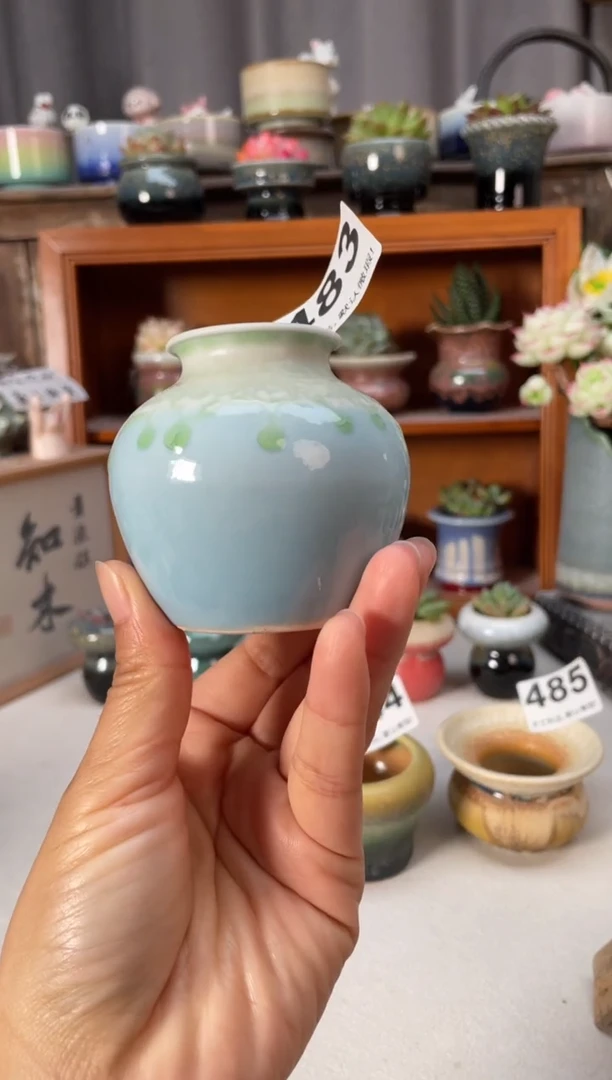 瓷片福利483小芳直播编号