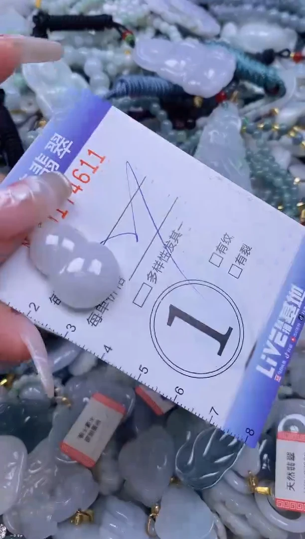 【闪购商品】翡翠颈饰未镶嵌闪购0174611