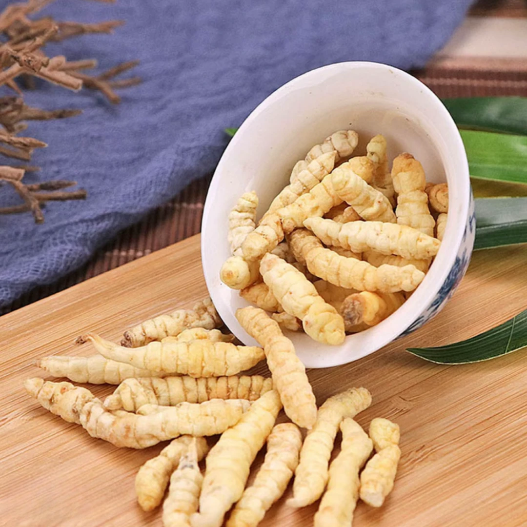 高山高海拔【白虫草】250g500g 小扬哥专属A3