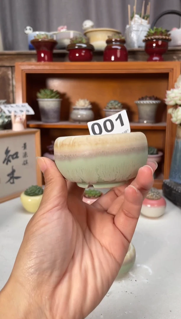 瓷片五*七001小芳直播编号