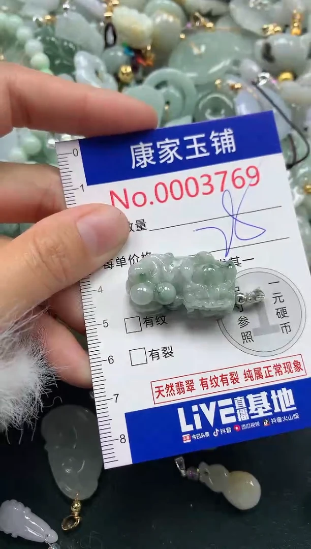 颈饰未镶嵌翡翠3769