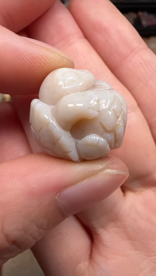 硅化珊瑚（珊瑚玉）未镶嵌颈饰288