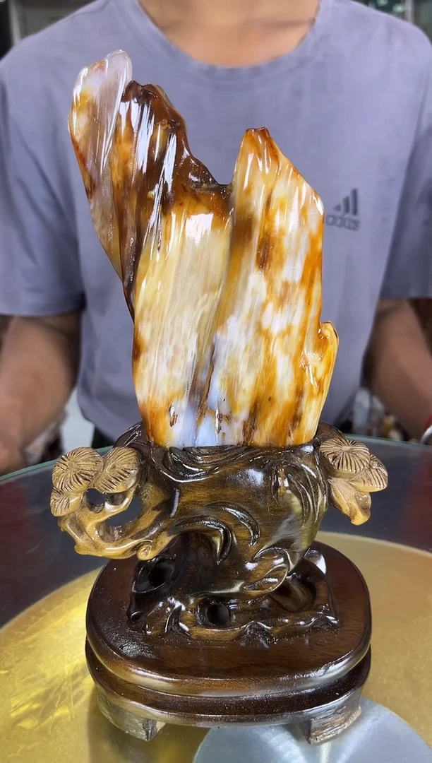 硅化玉珠宝奇石未镶嵌缅甸天然树化玉